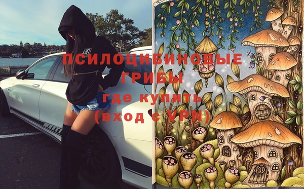 крисы Белокуриха