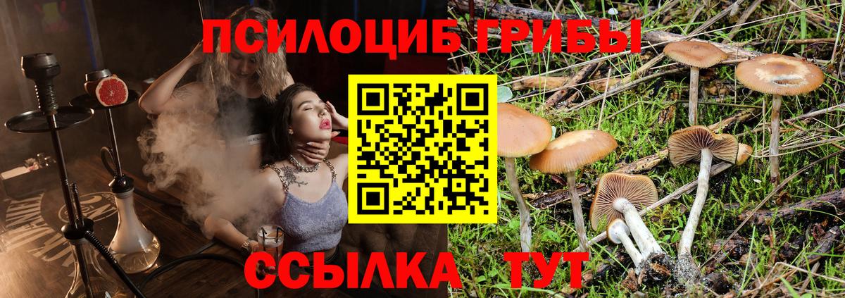 Галлюциногенные грибы Psilocybine cubensis  Галлюциногенные грибы мицелий  Бирск 