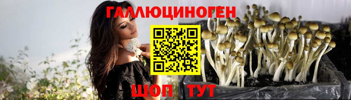 Псилоцибиновые грибы мухоморы  Псилоцибиновые грибы Psilocybine cubensis  Вход с VPN  Бирск 